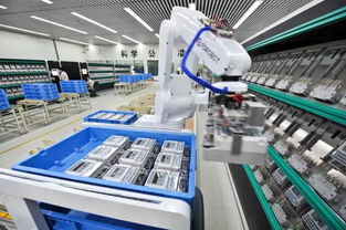 把握唯一的機會 22歲大專學歷踏入AI基礎軟件開發，開啟命運轉折之路
